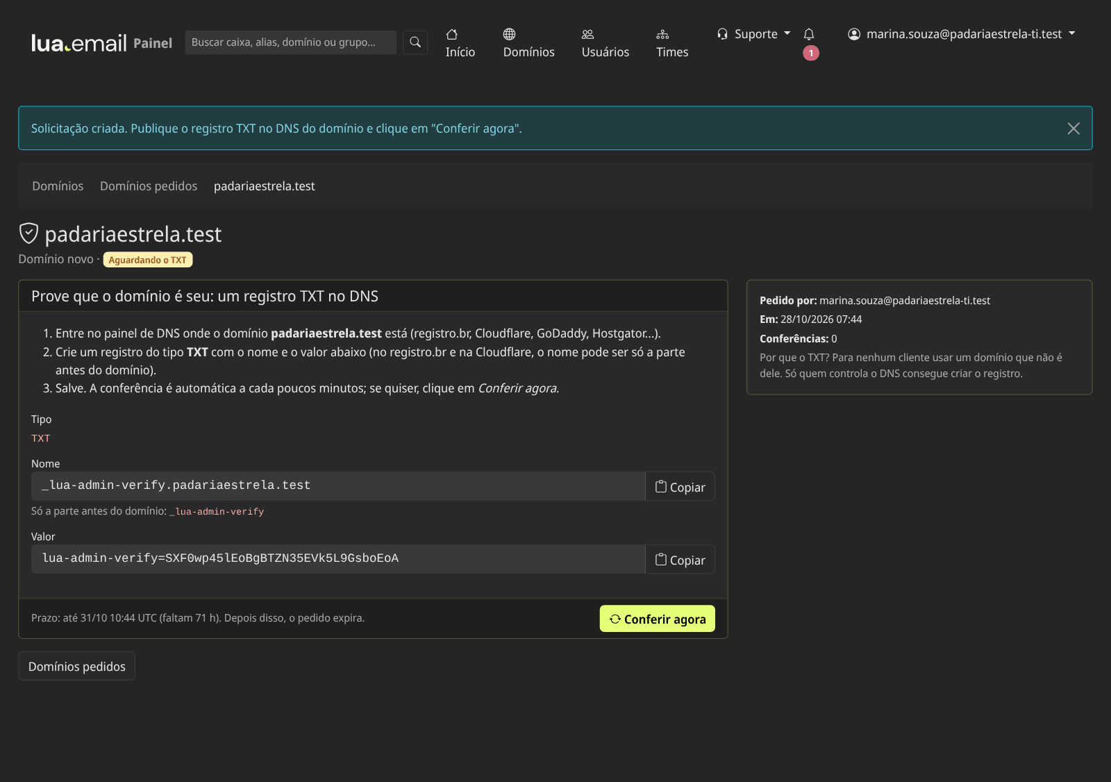 Tela com o registro TXT a publicar: nome _lua-admin-verify.padariaestrela.test, valor com o código e o botão Conferir agora