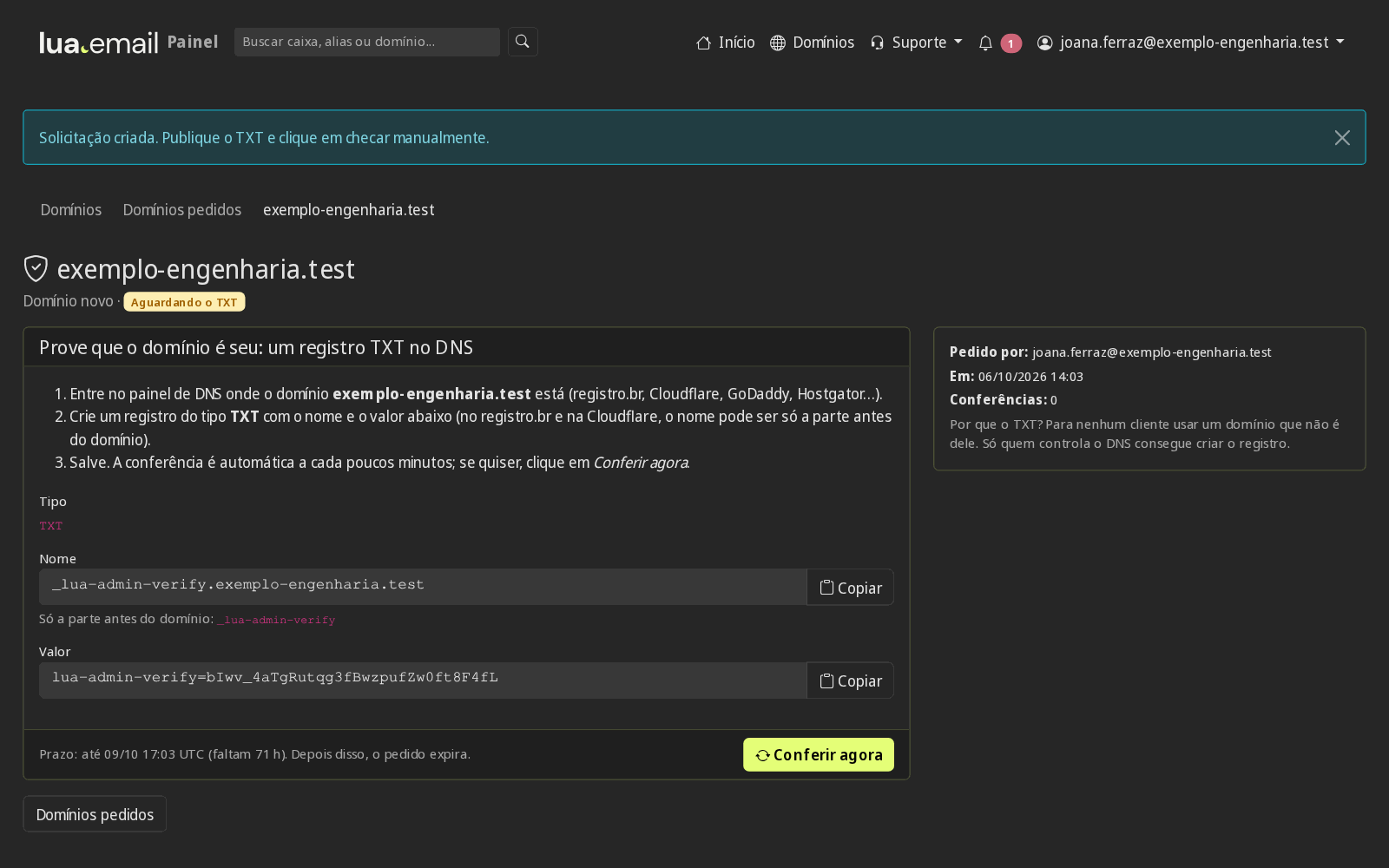 Tela do pedido com o registro TXT a publicar, nome e valor com botões Copiar, o prazo e o botão Conferir agora